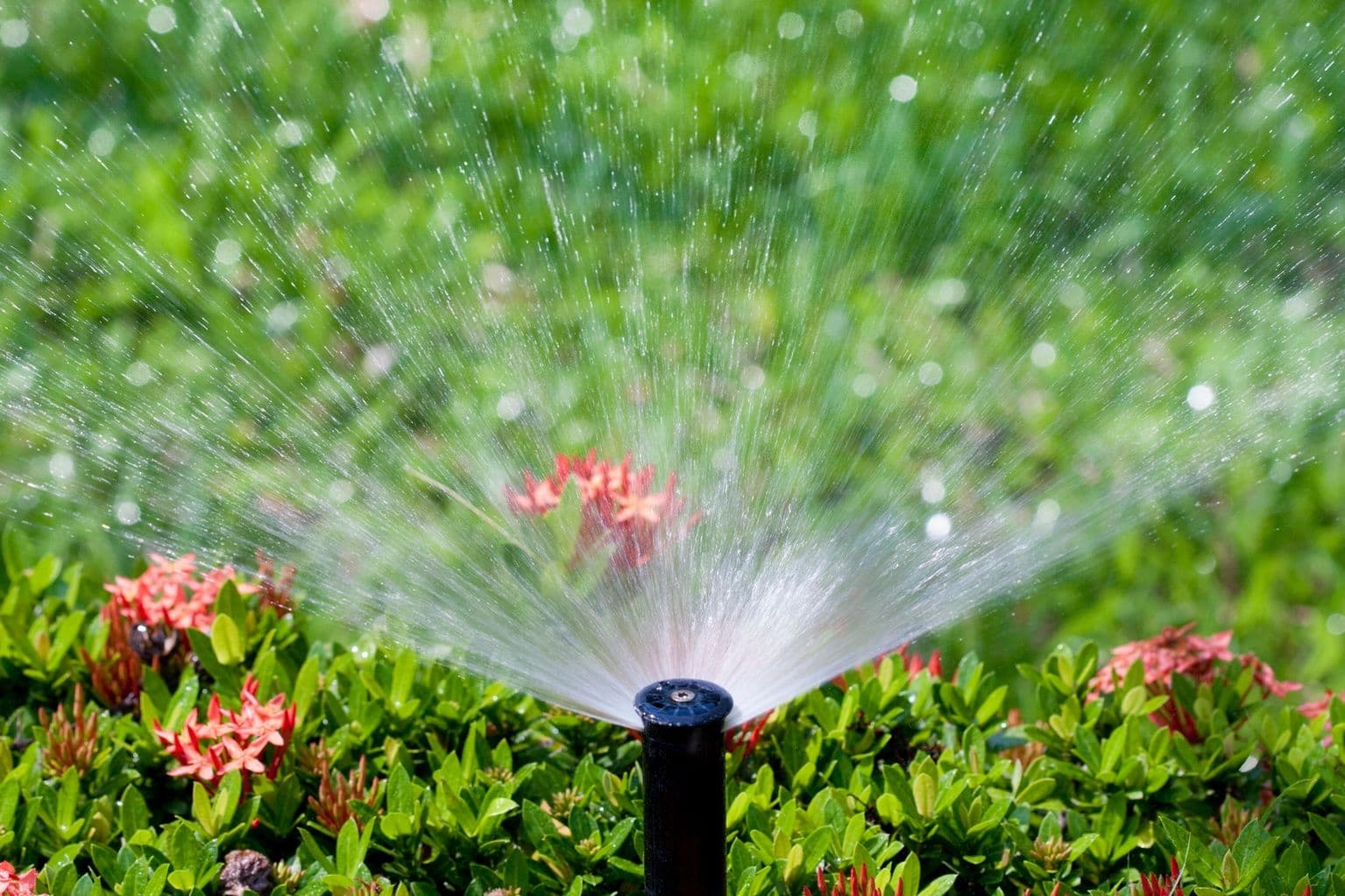 Sprinkler spraying a fan of water over green Arizona landscaping